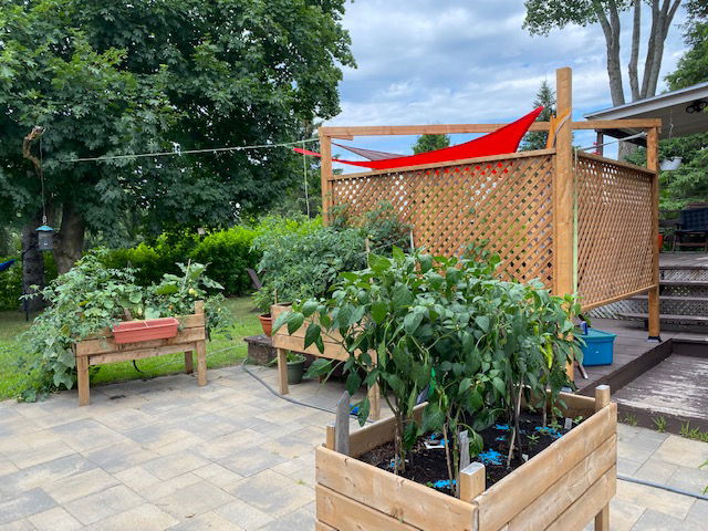 Homestay Trois-Rivières 267118