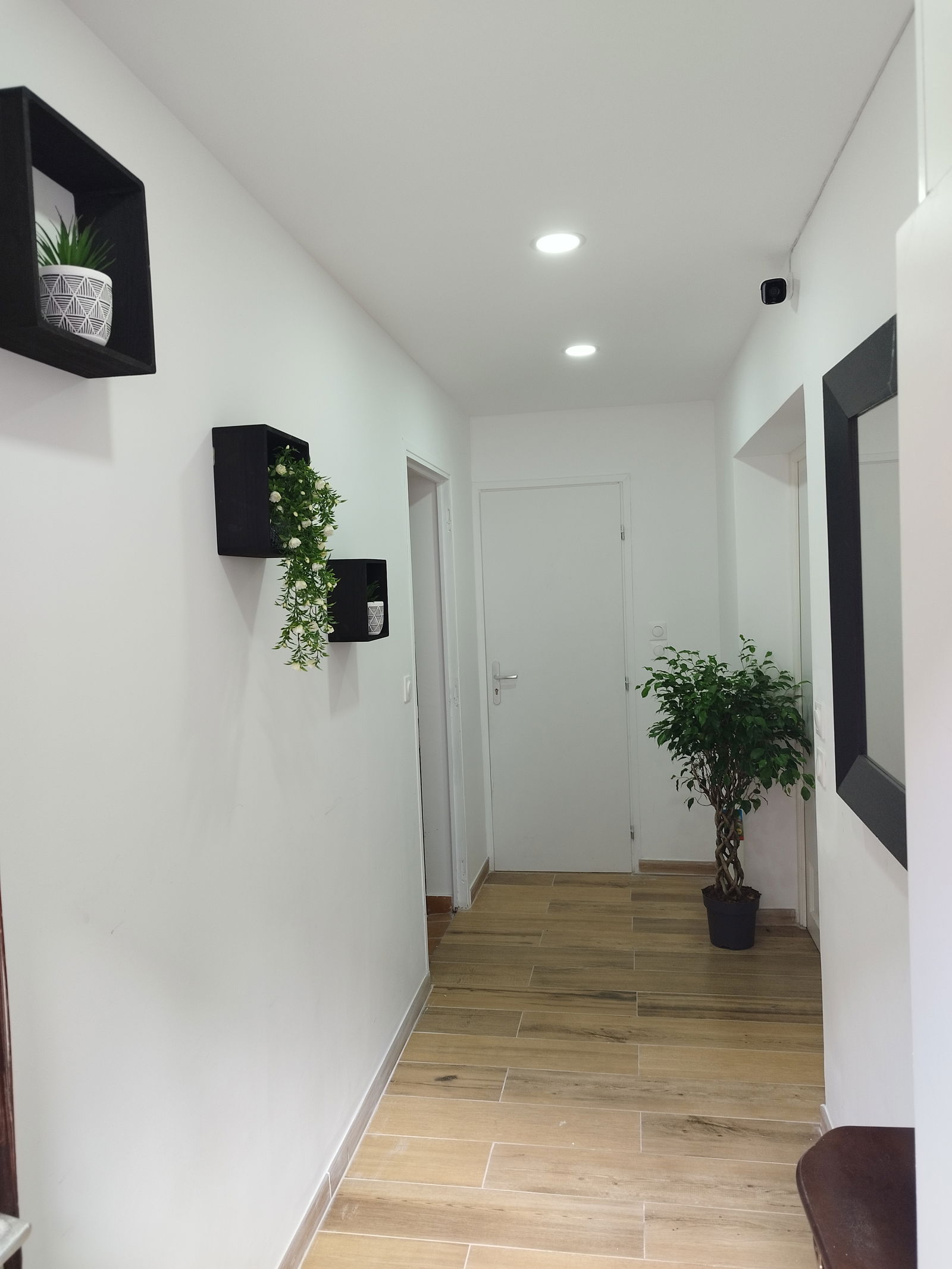 Colocation Tourcoing 268478