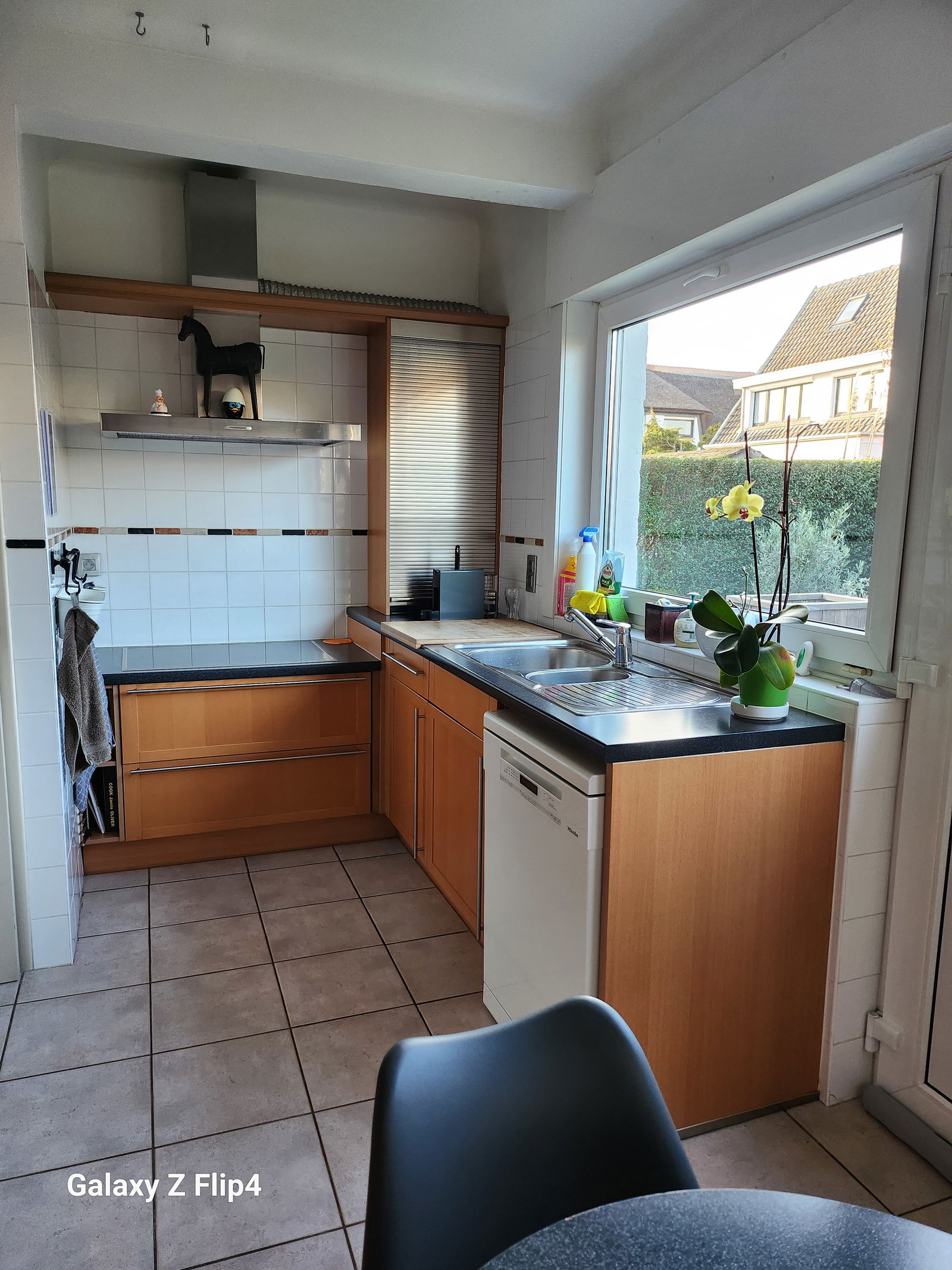 Homestay Dilbeek 346359
