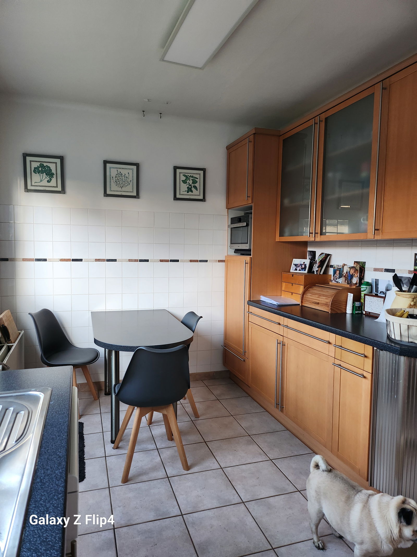 Homestay Dilbeek 346359