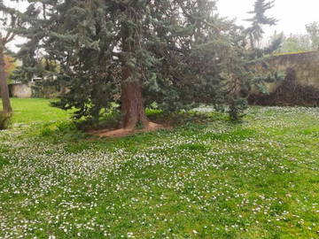 Chambre Chez L'habitant Champigny-Sur-Marne 387990-5