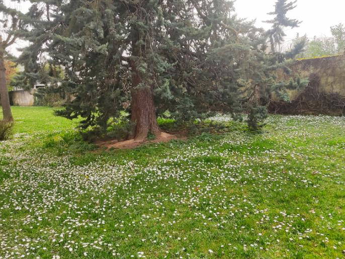 Gastfamilie Champigny-sur-Marne 387990-5