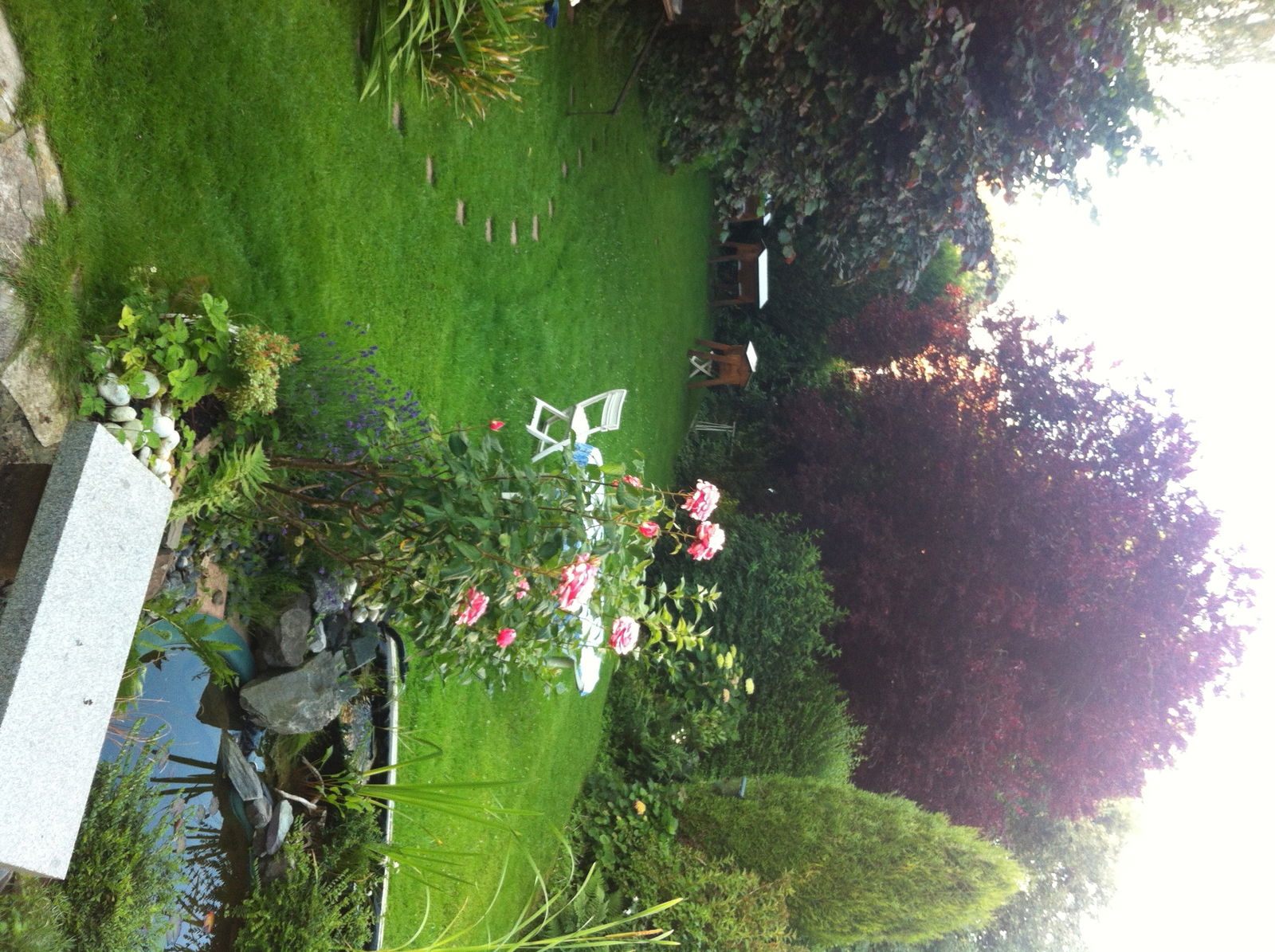 Homestay Roubaix 137570