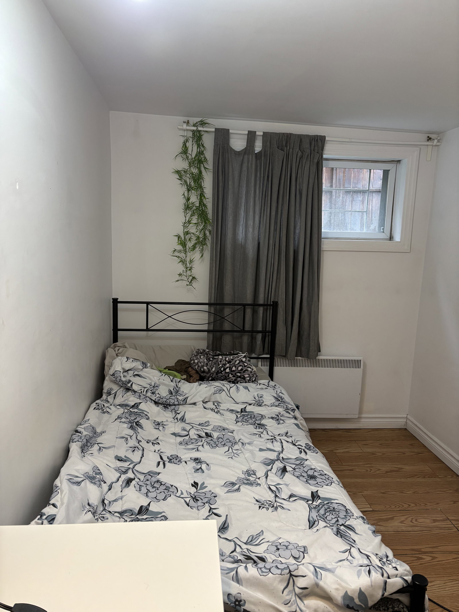 Coliving Montréal 662781