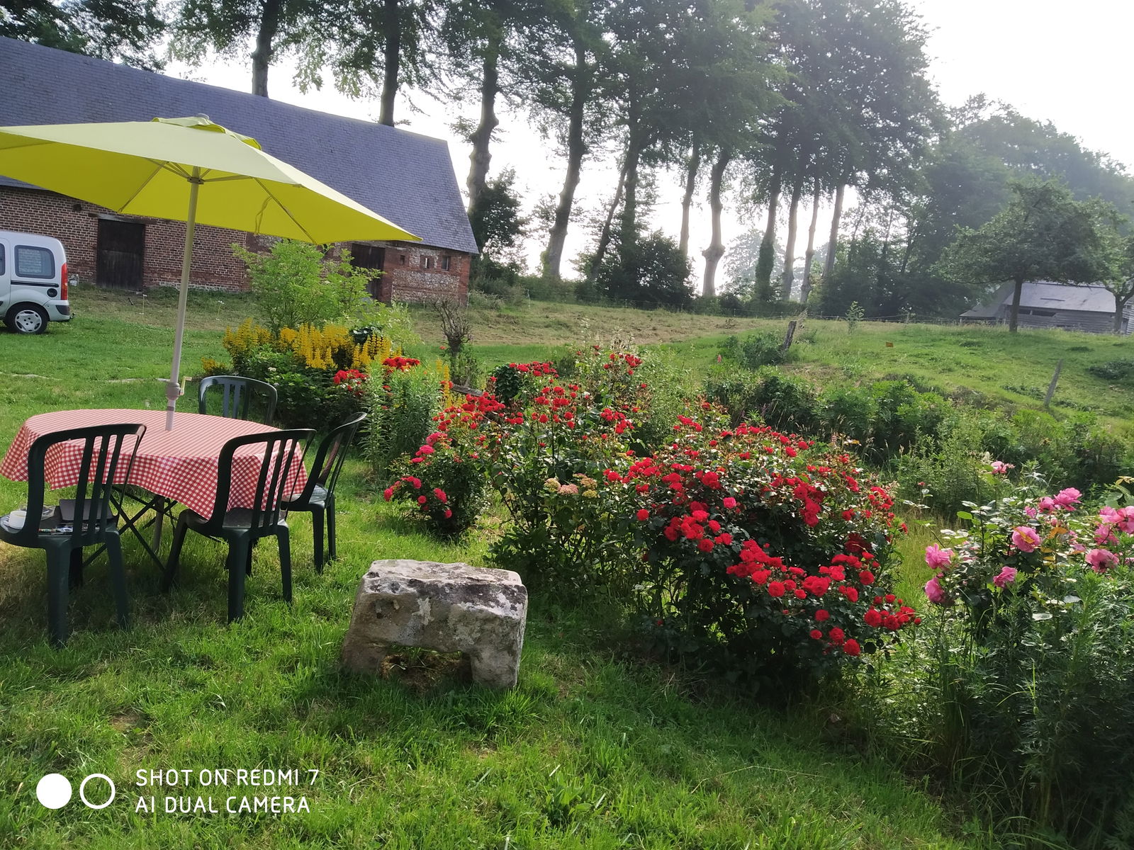 Homestay Routes 246115