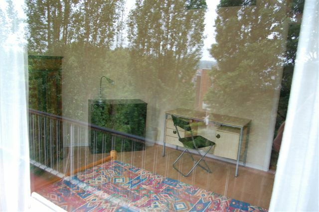 Homestay Forest 129013