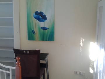 Chambre Chez L'habitant Sumner 219310-6