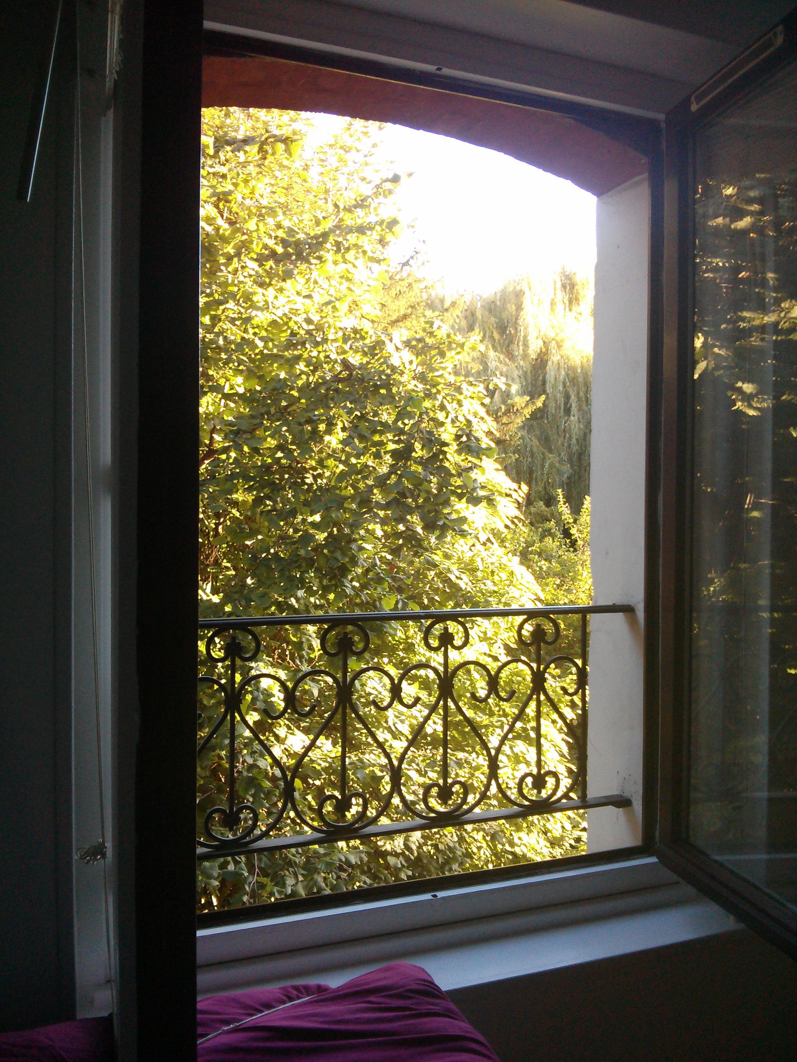 Homestay Viroflay 83378