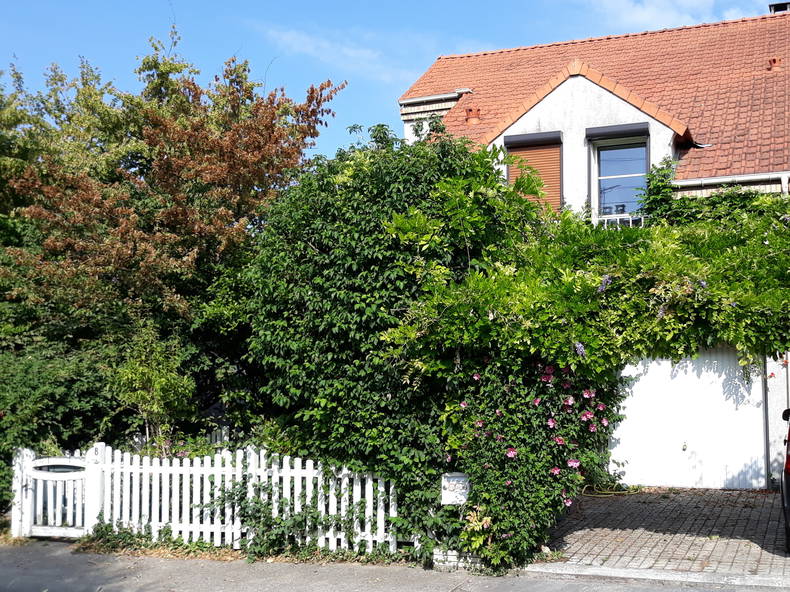 Colocation Wissous 261295-4