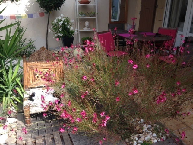 Homestay Avignon 170262