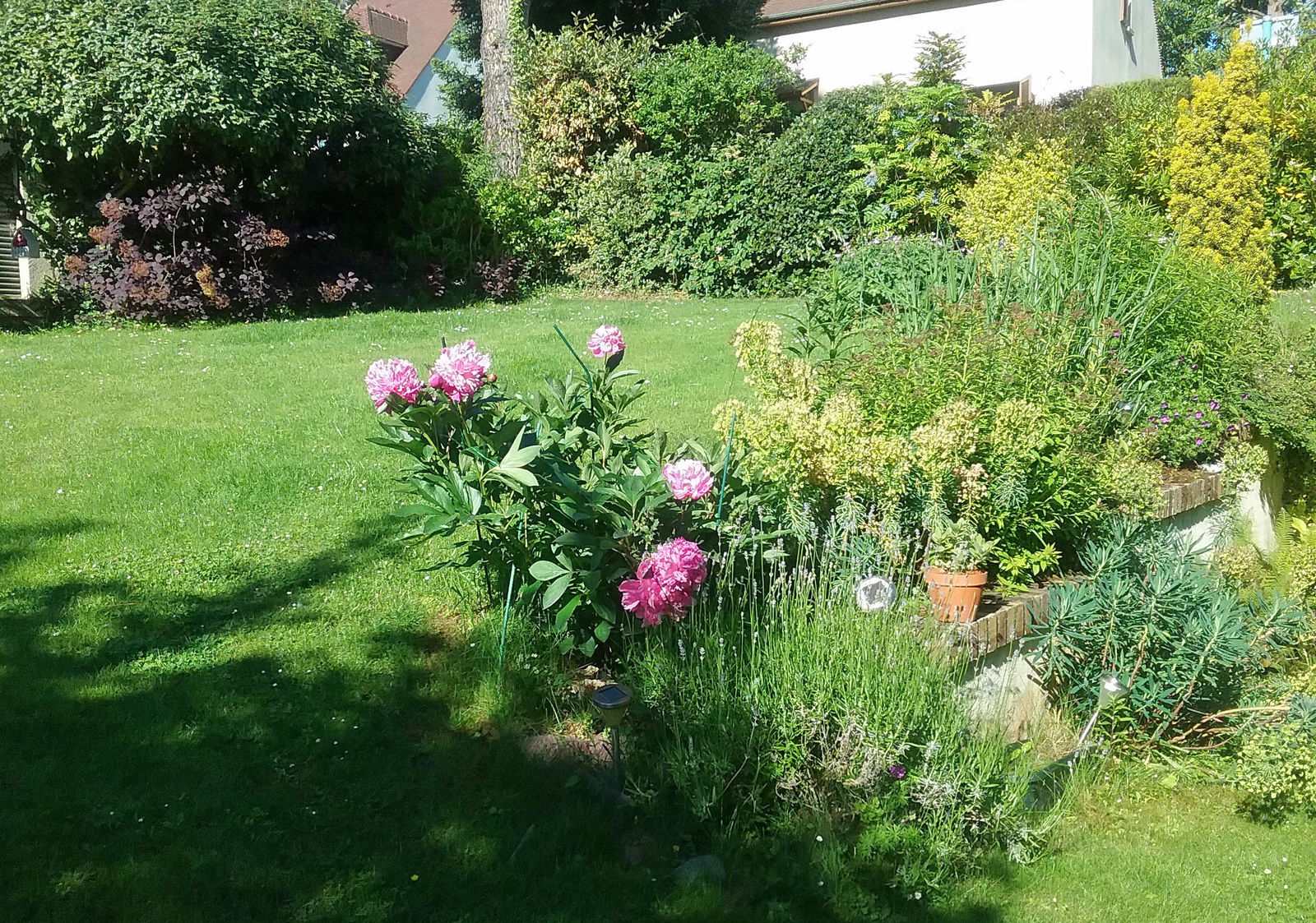 Homestay Saint-Germain-en-Laye 168514