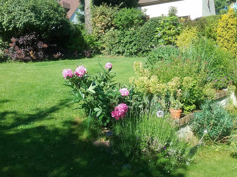 Homestay Saint-Germain-en-Laye 168514-5