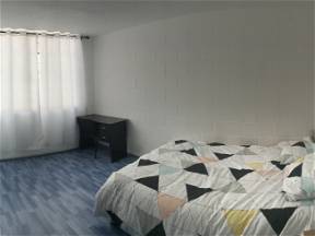 Student Room In The Center Of Mexico City