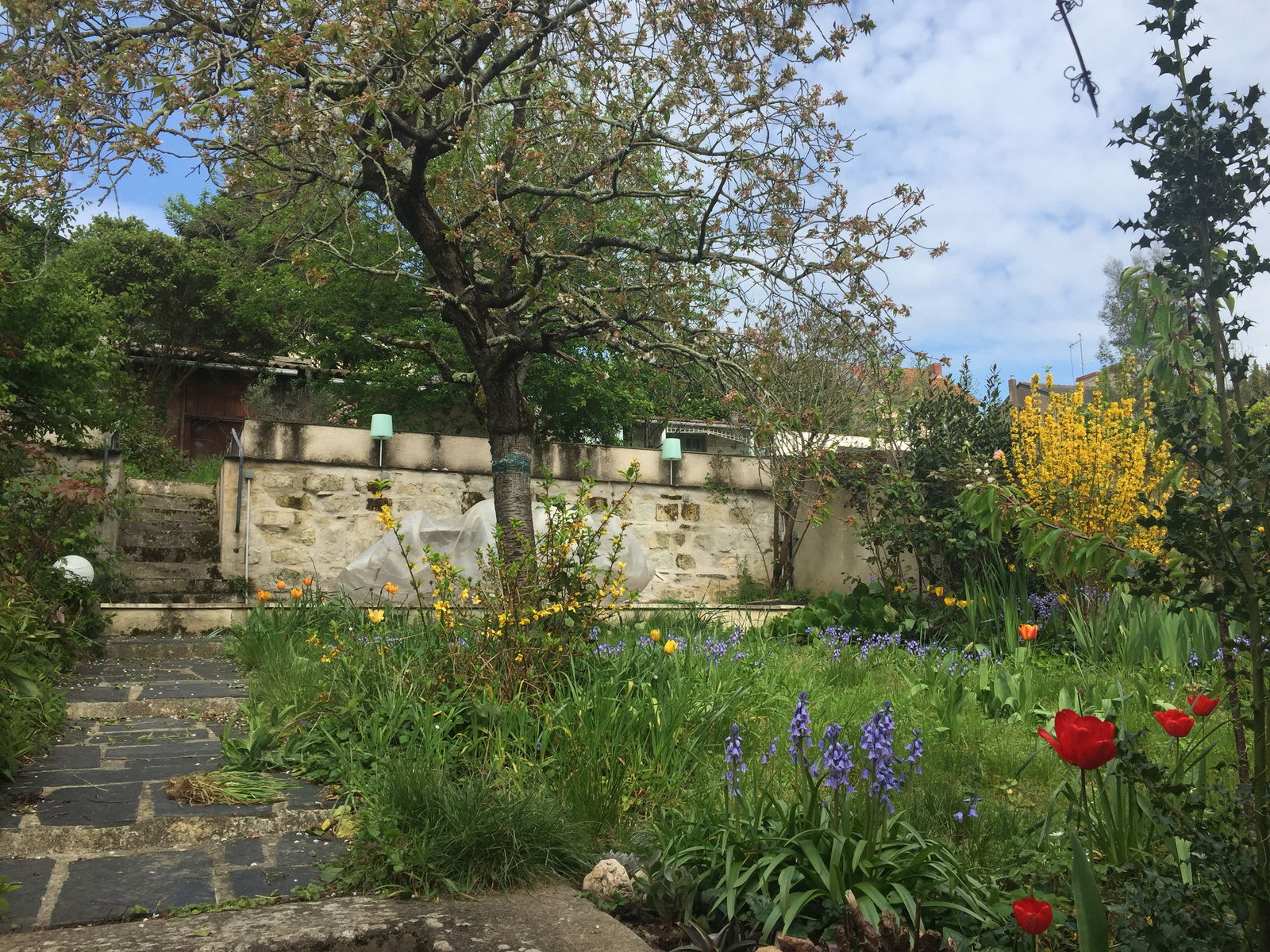 Homestay Angers 249858