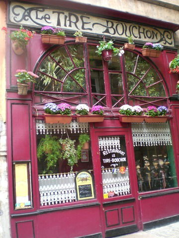 Homestay Sainte-Foy-lès-Lyon 4170