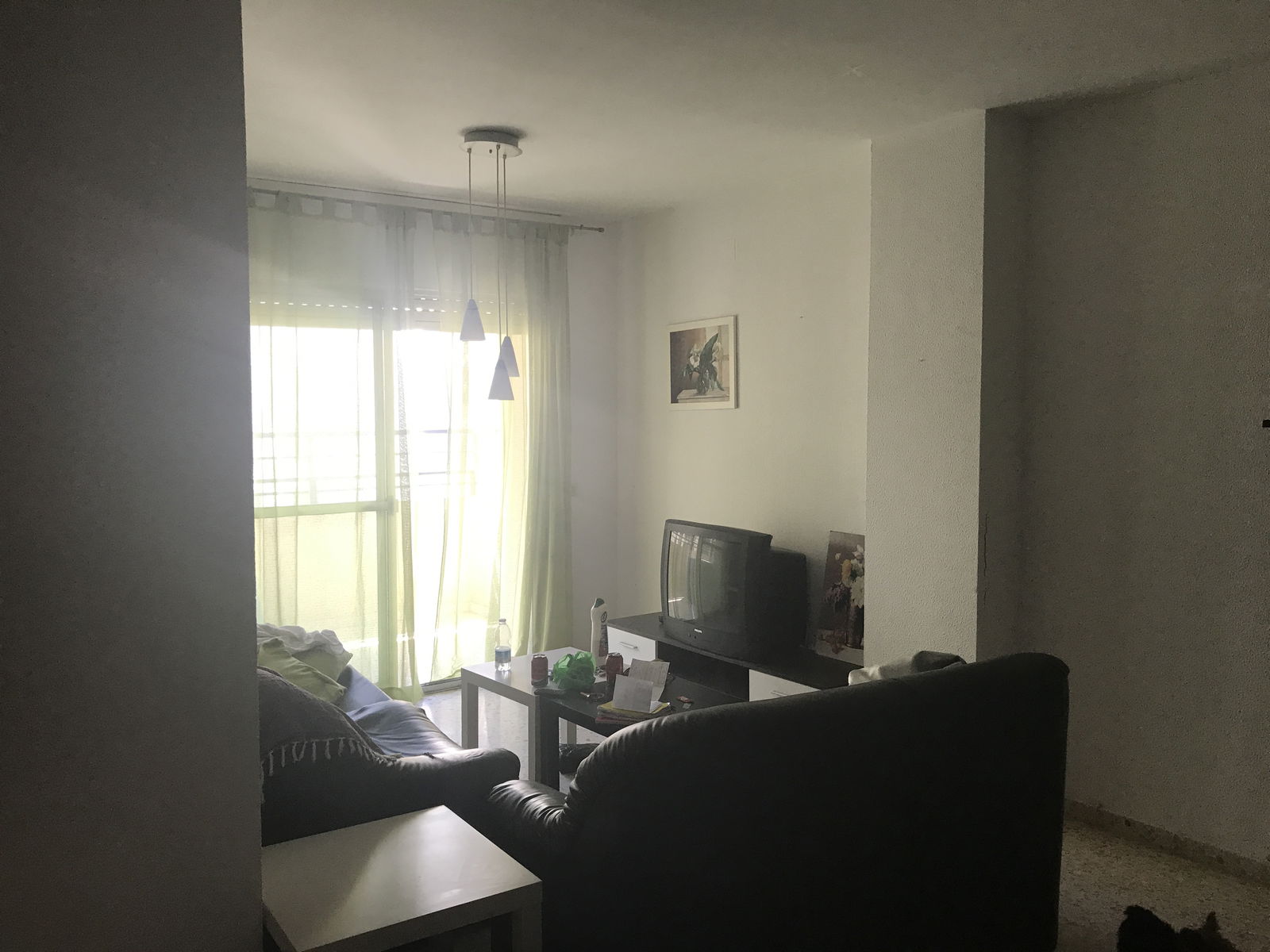 Colocation Jerez de la Frontera 181865