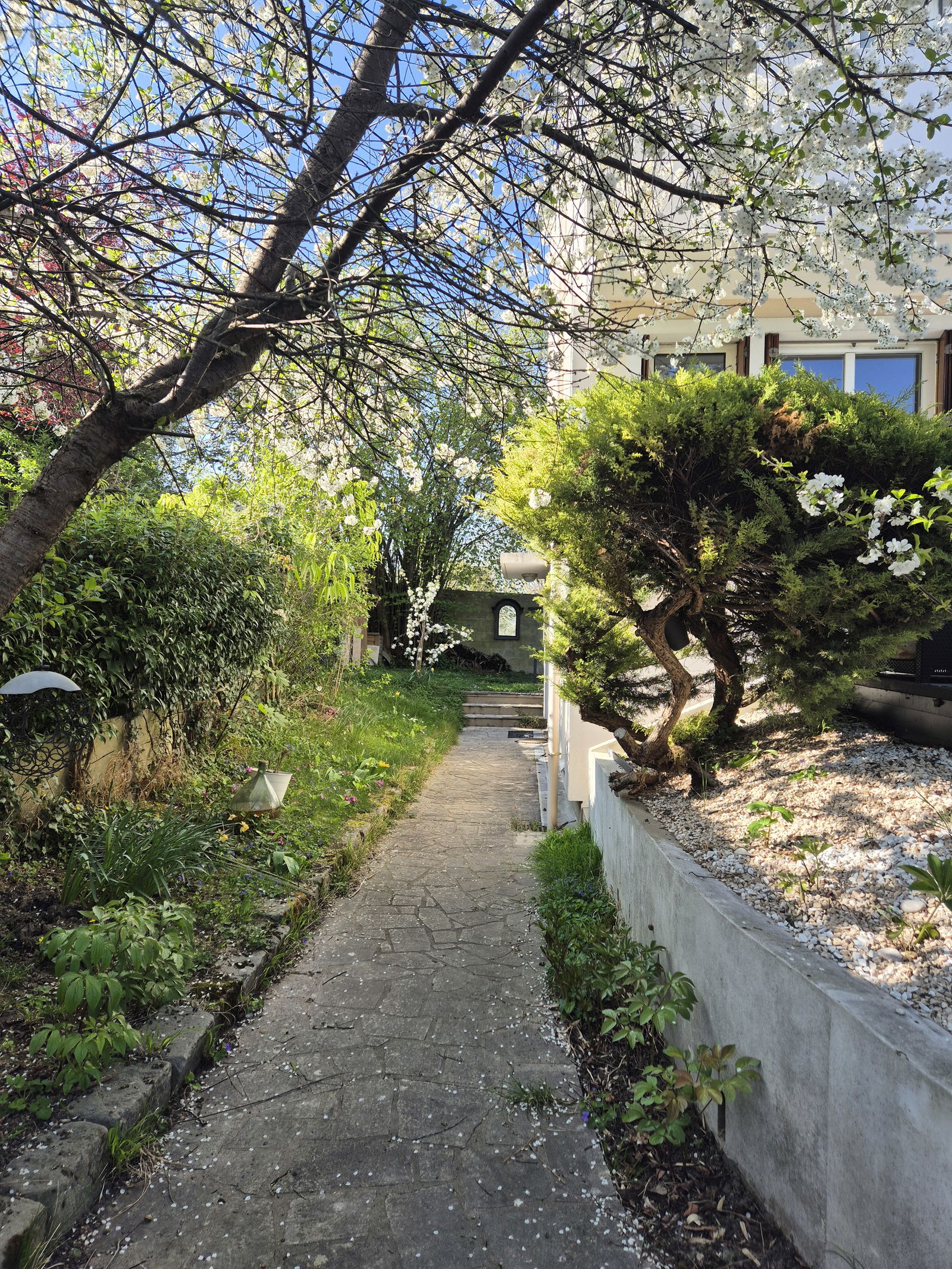 Homestay Saint-Germain-en-Laye 645179