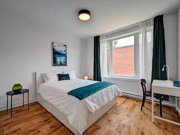 Colocation Montreal 569599-2