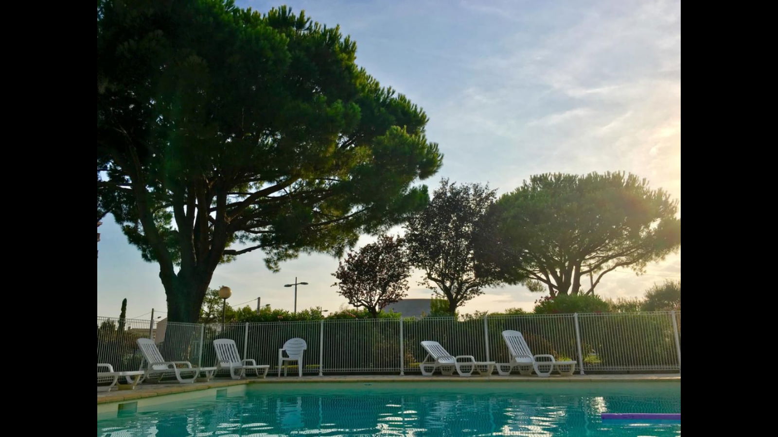 Kolokasie Antibes 177097