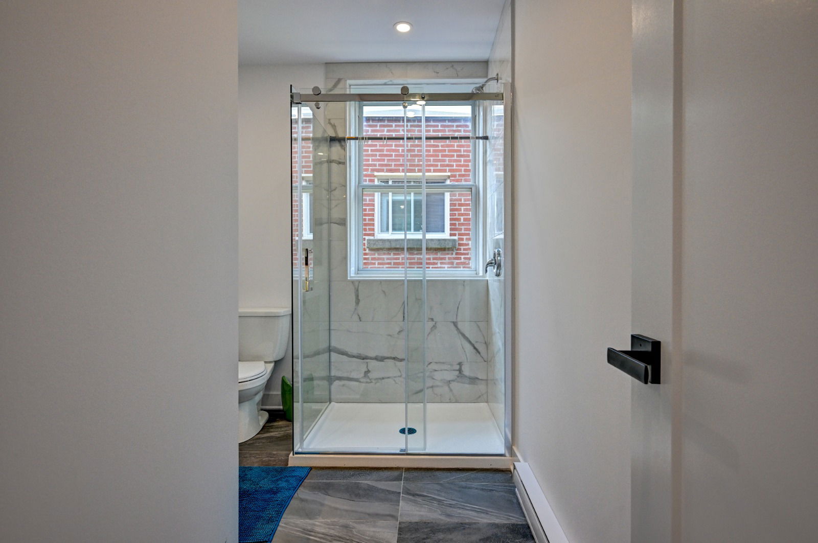 Kolokasie Montreal 569599