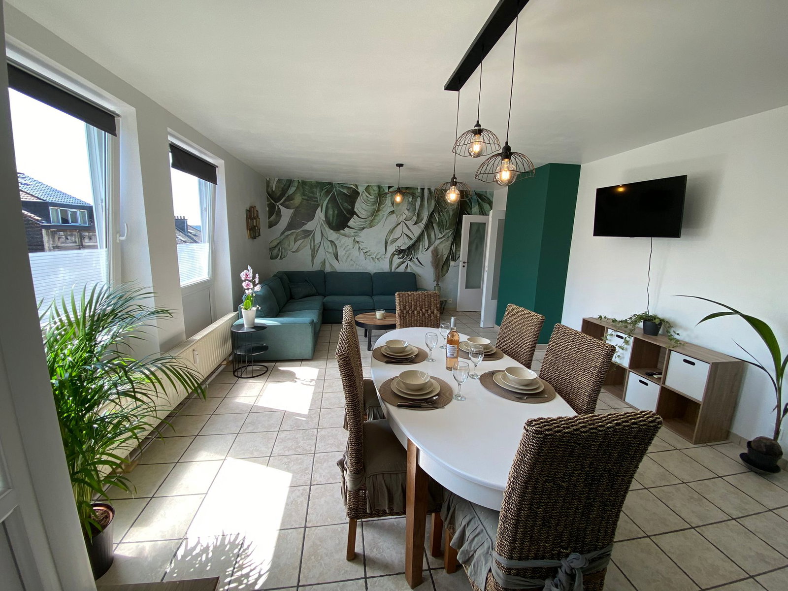 Kolokasie Charleroi 429303