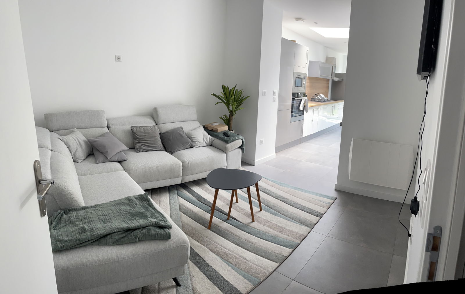 Kolokasie Lille 423972