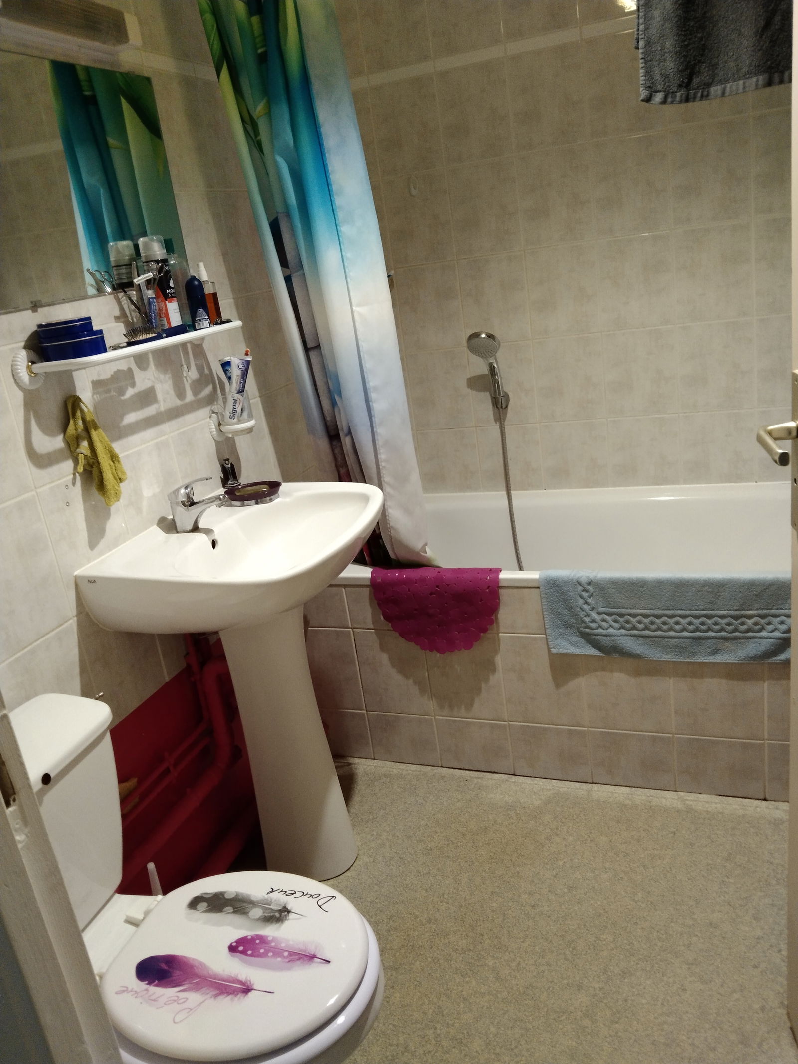 Collocazione Metz 253102