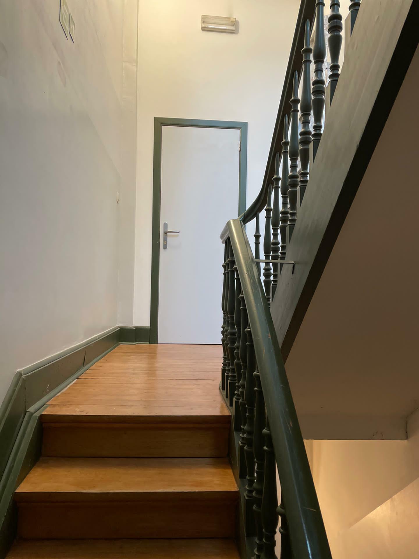 Kolokasie Seraing 248727