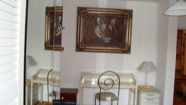 Kolokasie Genève 24618