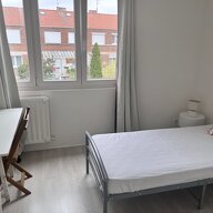 Kolokasie Wattignies 222453