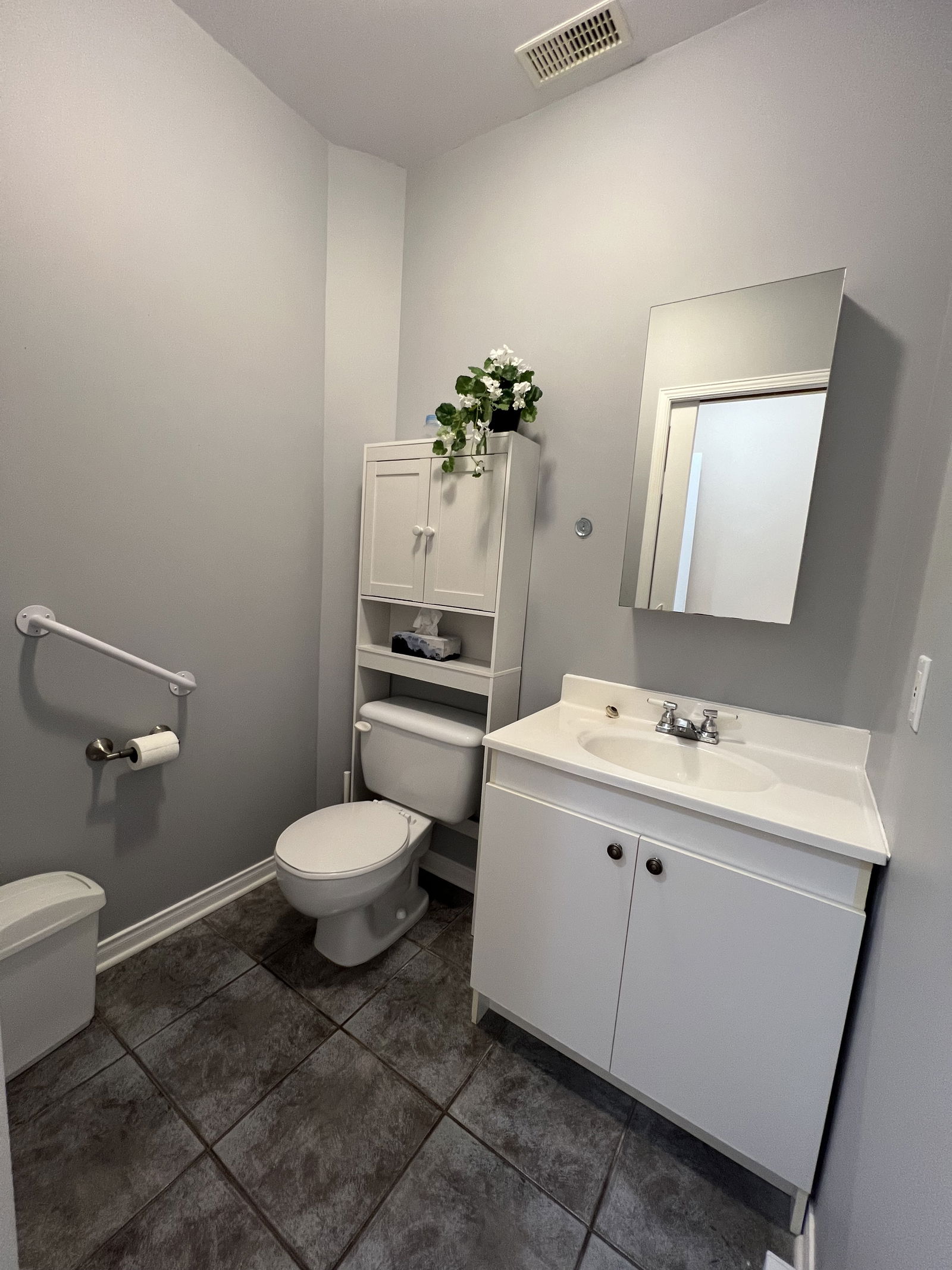 Kolokasie Saint-Hyacinthe 519418