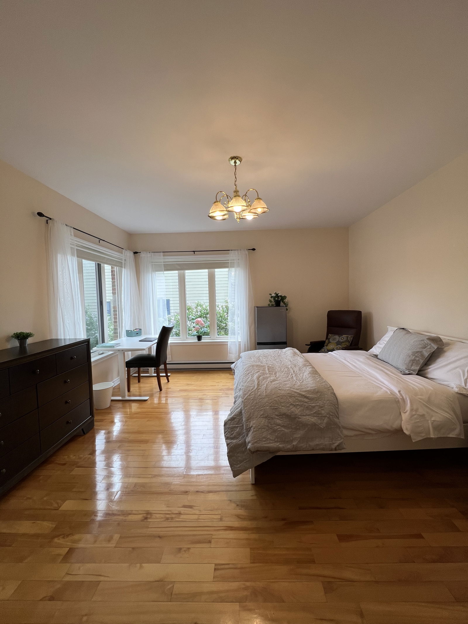 Kolokasie Saint-Hyacinthe 519418