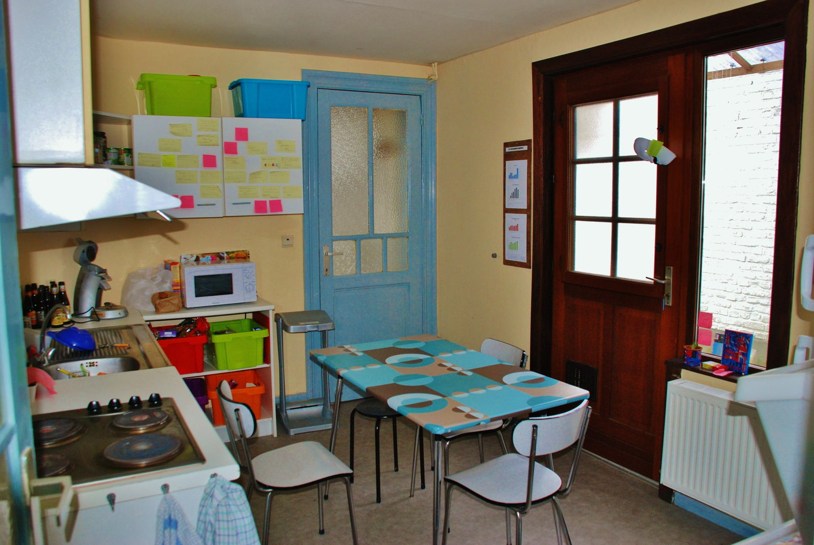 Kolokasie Tournai 109364