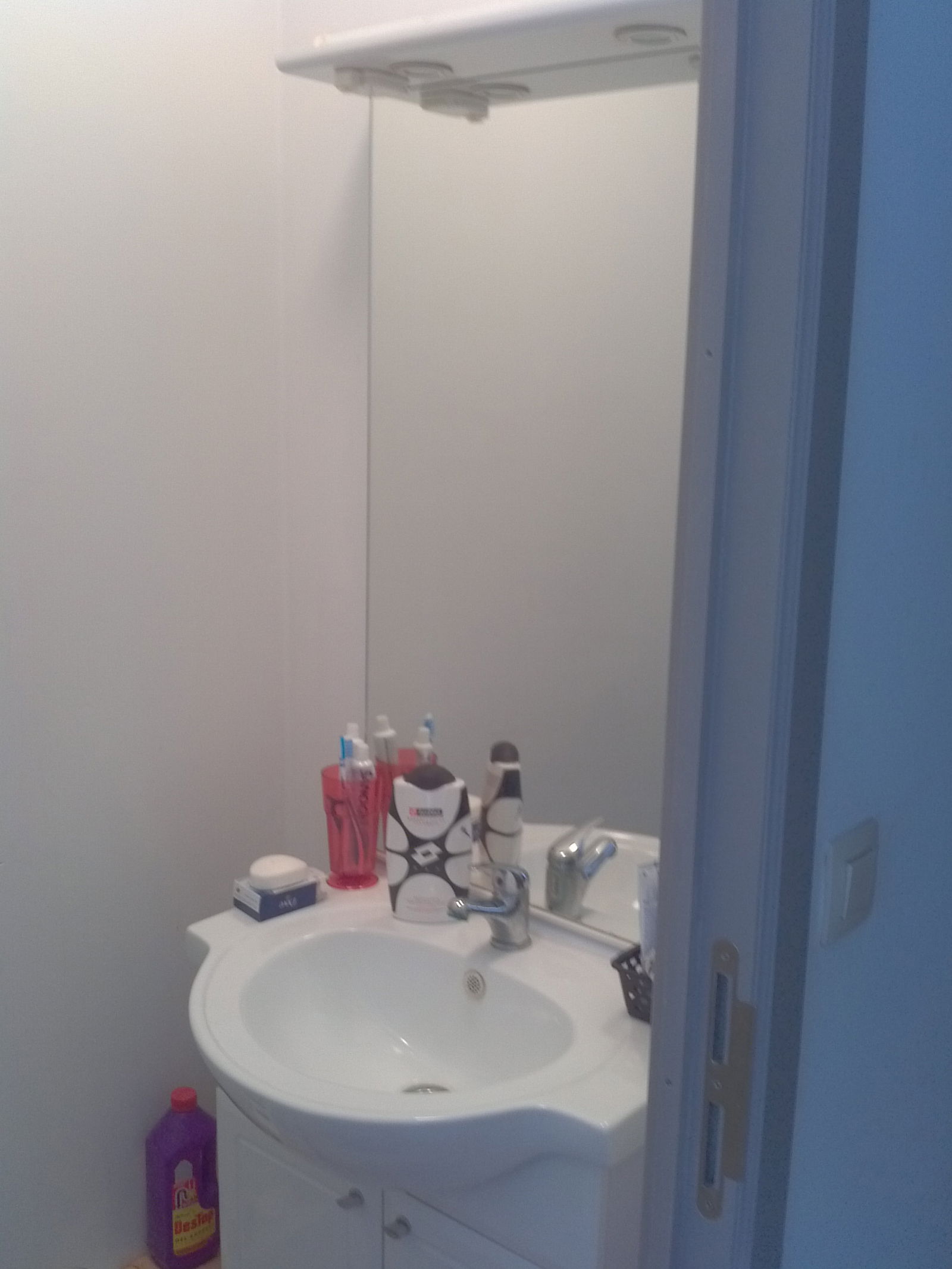 Kolokasie Liège 80185