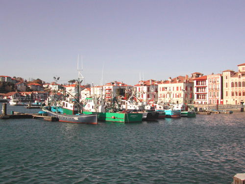 Gastgezin Saint-Jean-de-Luz 50703