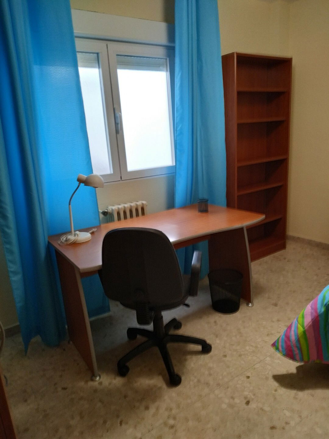 Kolokation Granada 148651