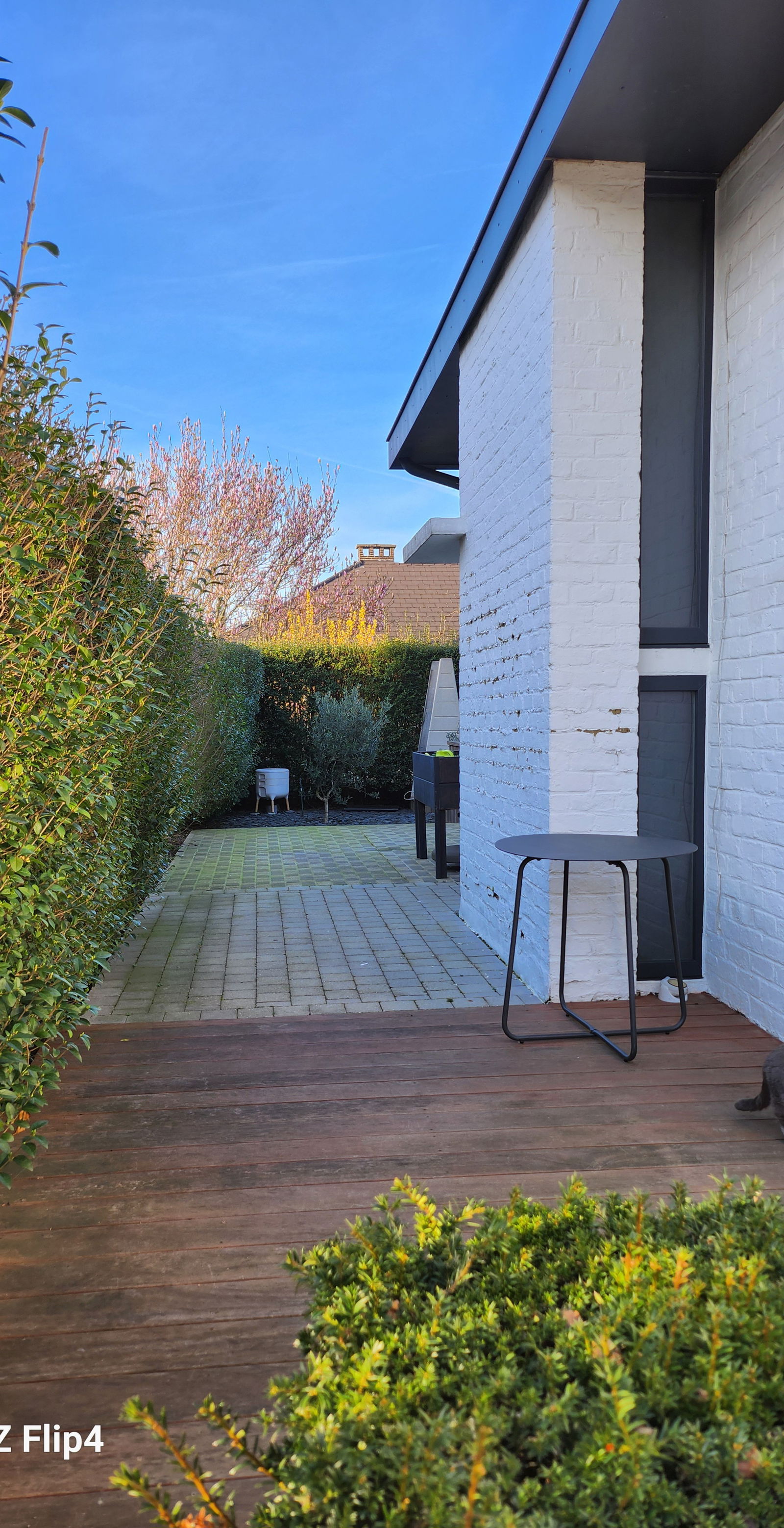 Gastfamilie Dilbeek 346359