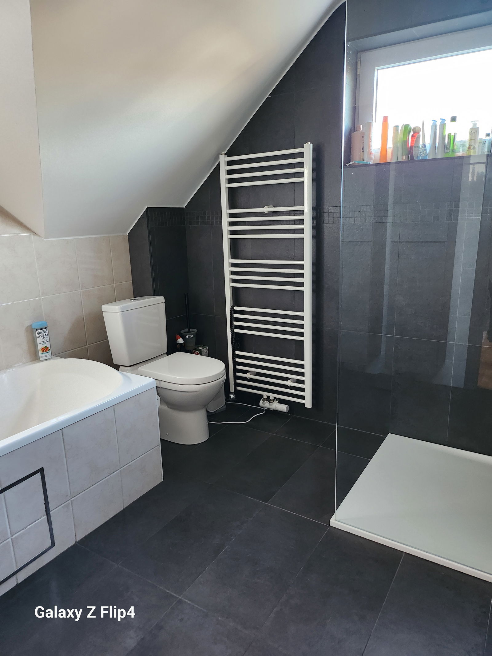 Gastfamilie Dilbeek 346359