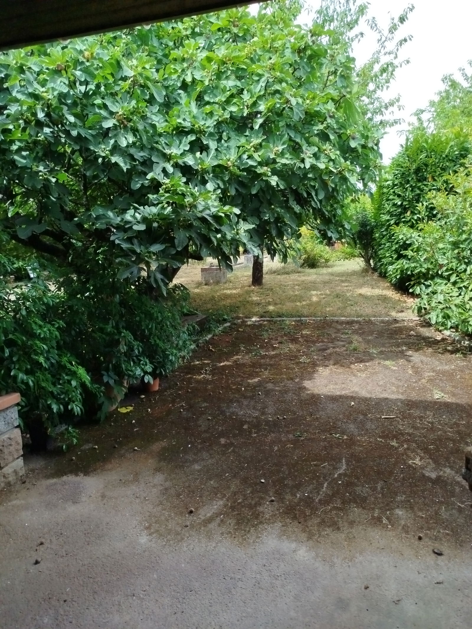 Kolokation Castres 585216