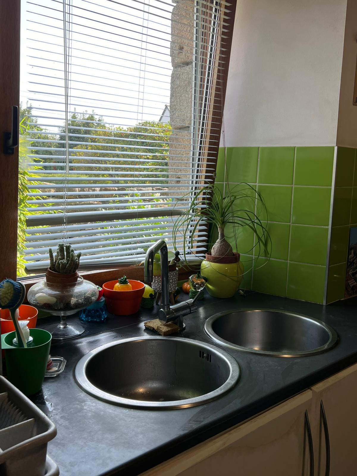 Gastfamilie Brest 590145