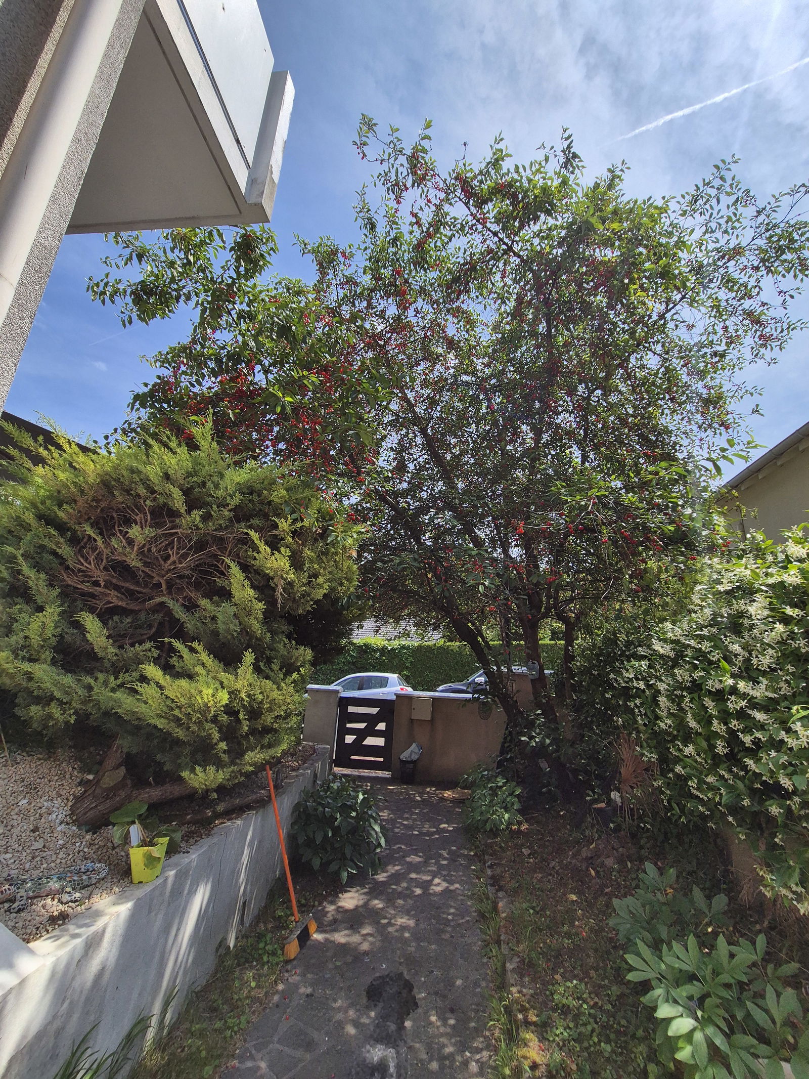 Gastfamilie Saint-Germain-en-Laye 645179