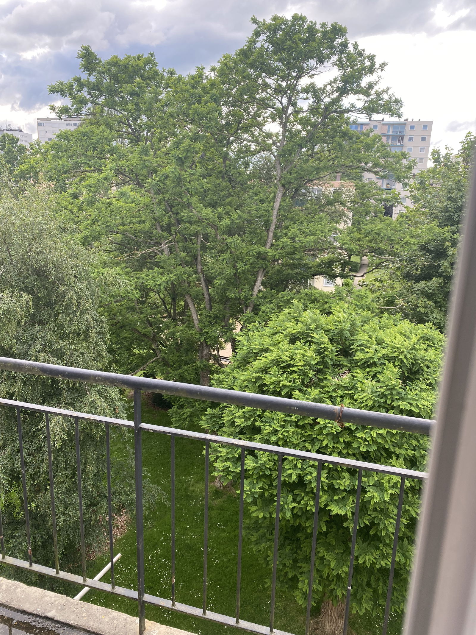 Colocation Mont-Saint-Aignan 403695