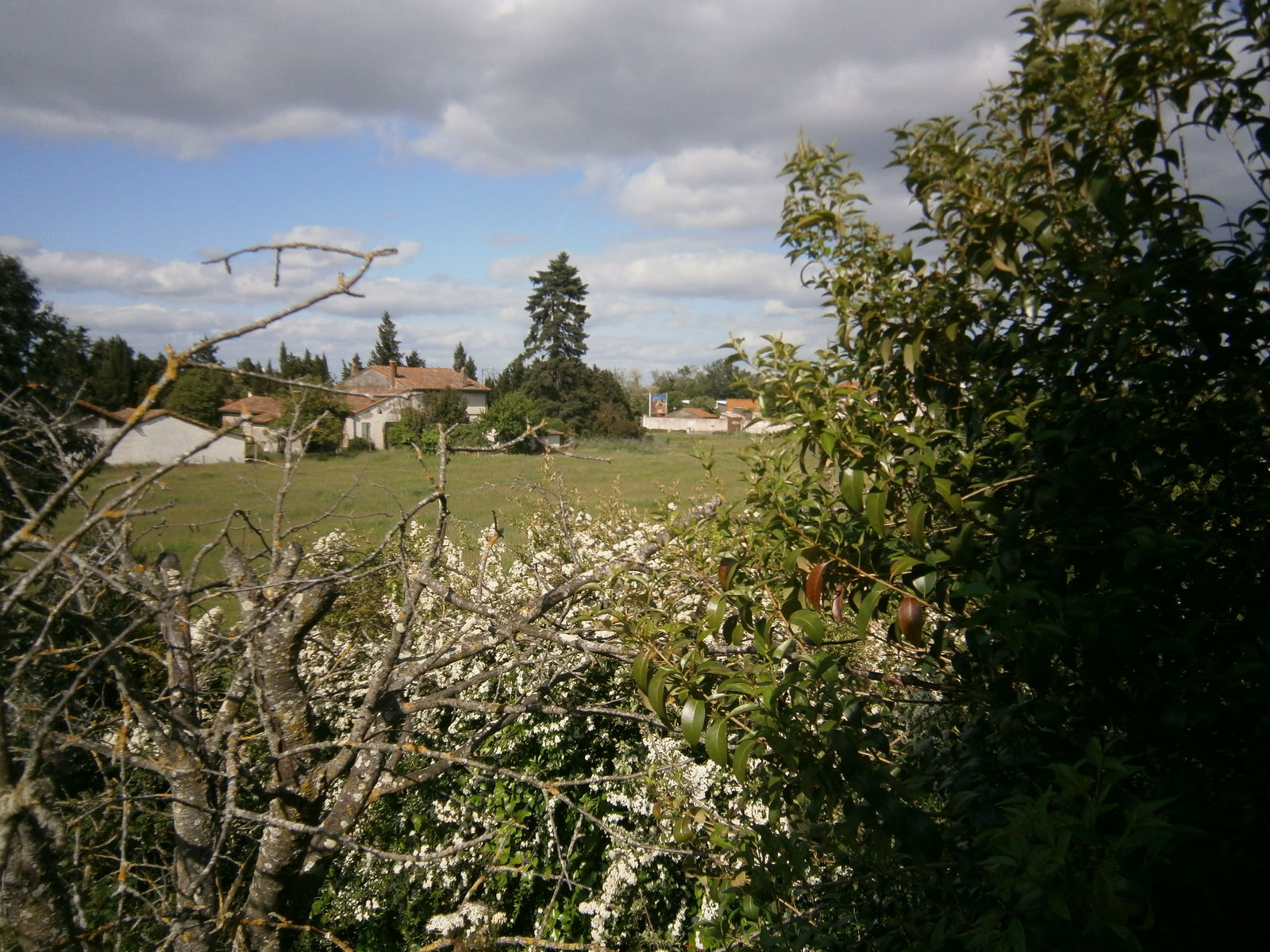 Hjemmeophold Toulouse 33865