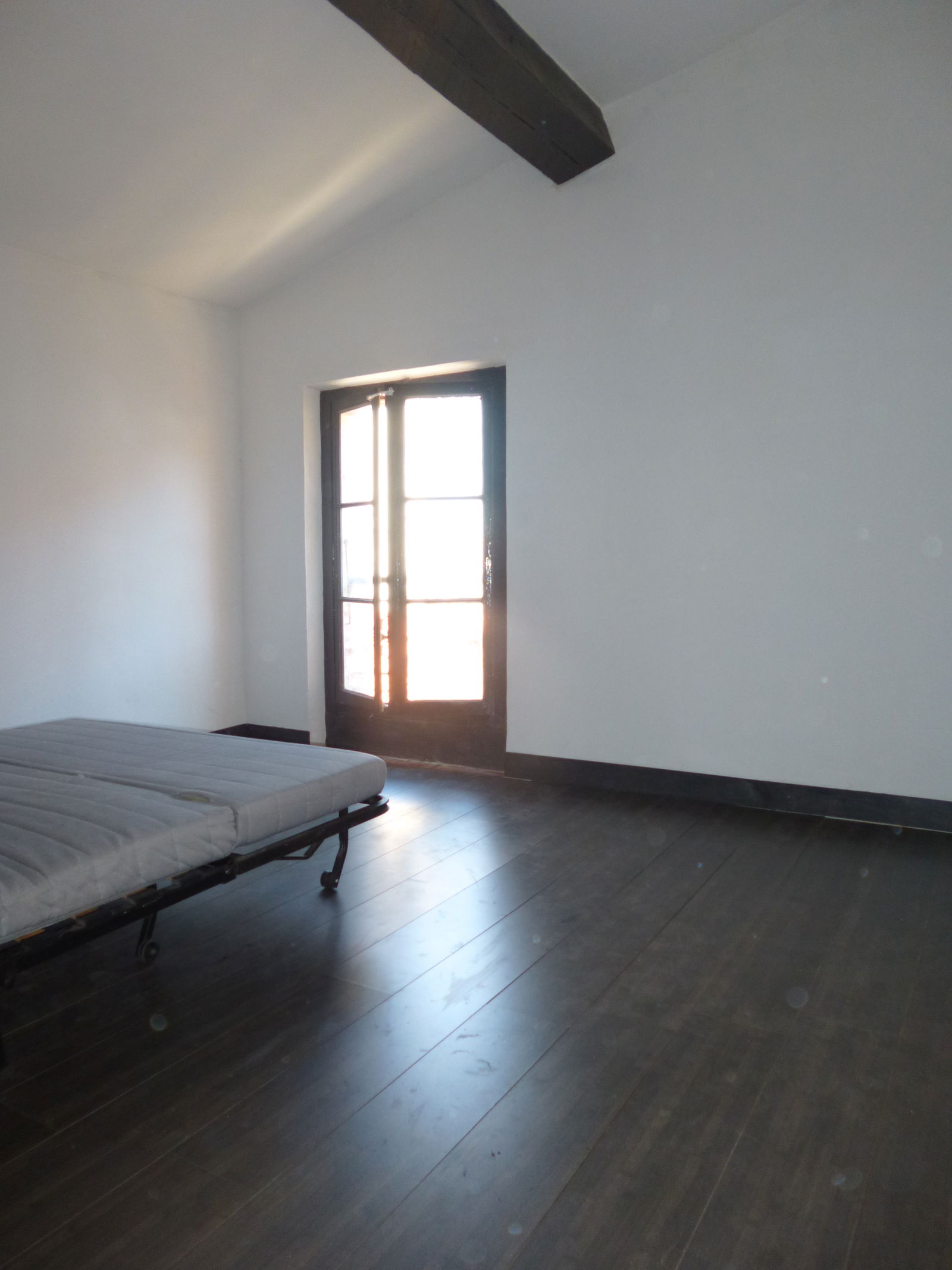 Kolokasie Perpignan 81839