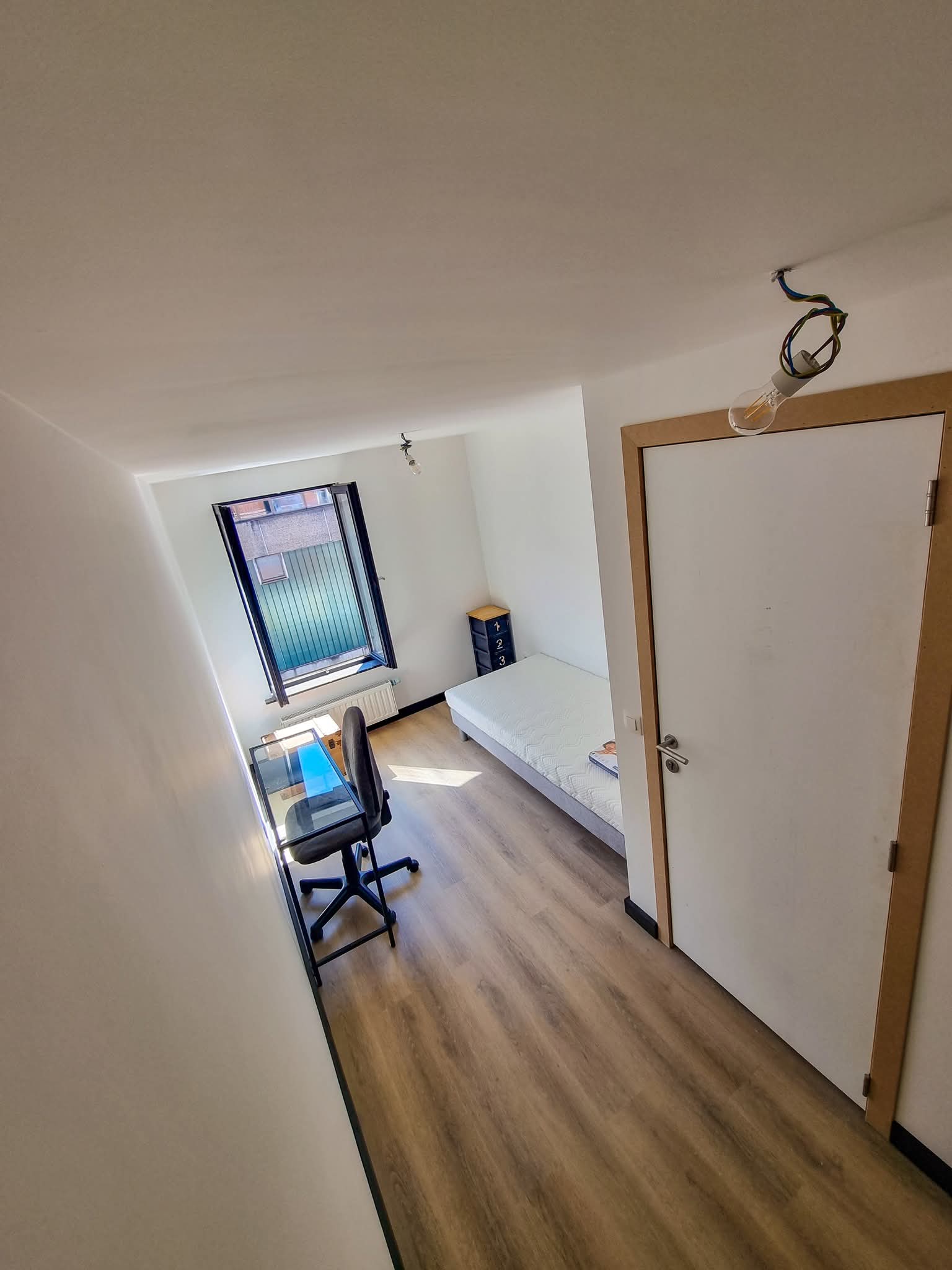 Kolokasie Charleroi 598459