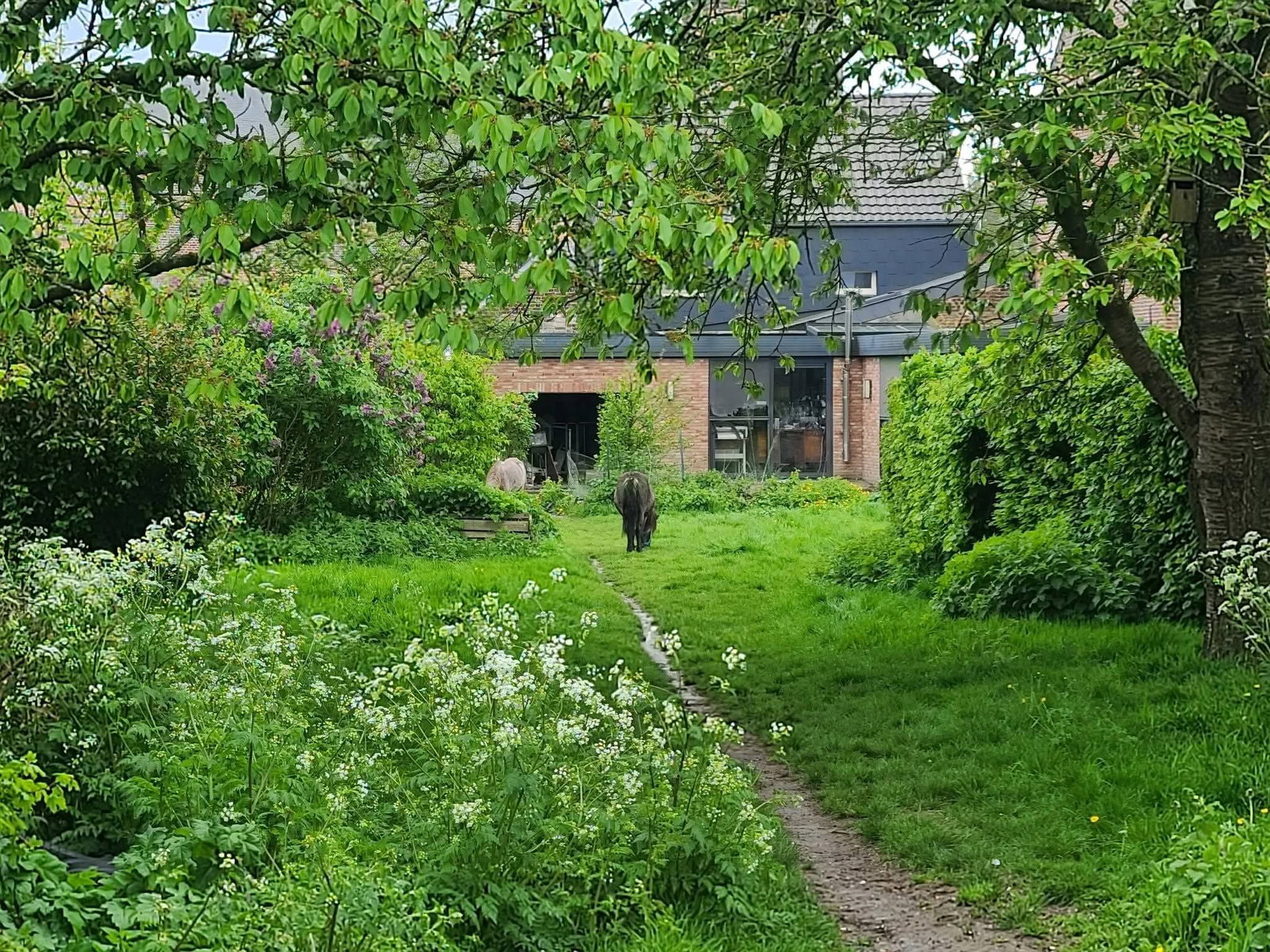 Unterkunft Beim Gastgeber Gembloux 672876