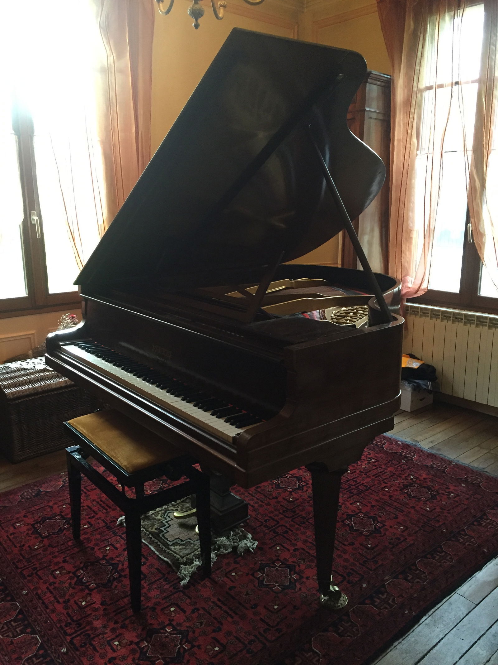 Homestay Le Vésinet 146920