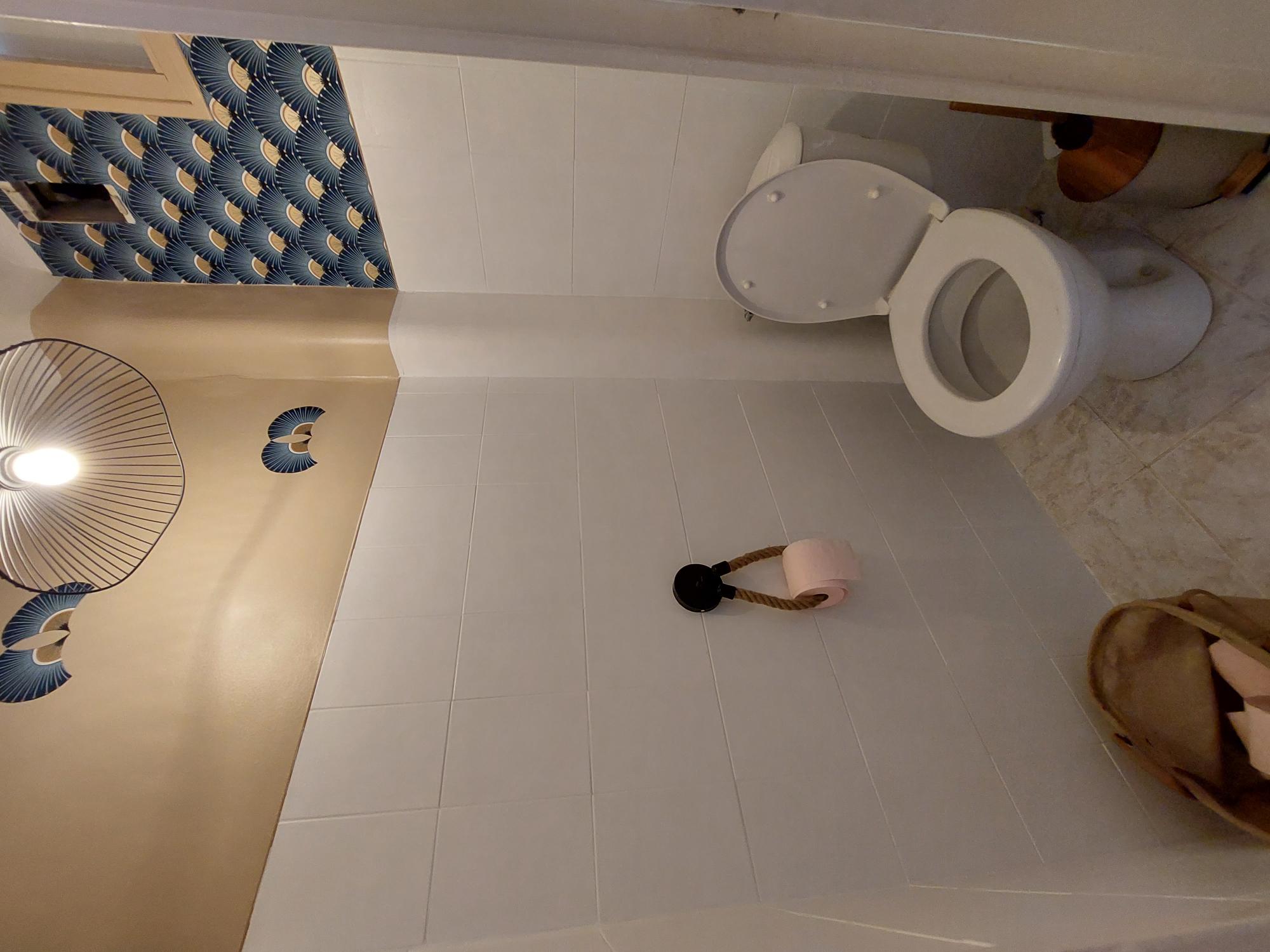 Kolokation Toulon 299376