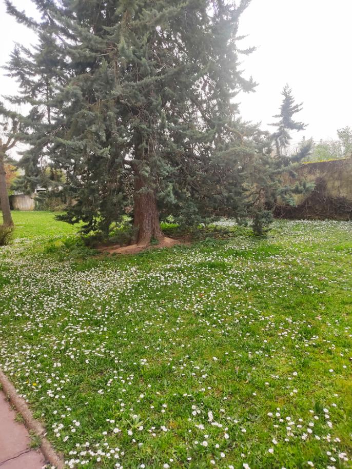 Hemvistelse Champigny-sur-Marne 387990
