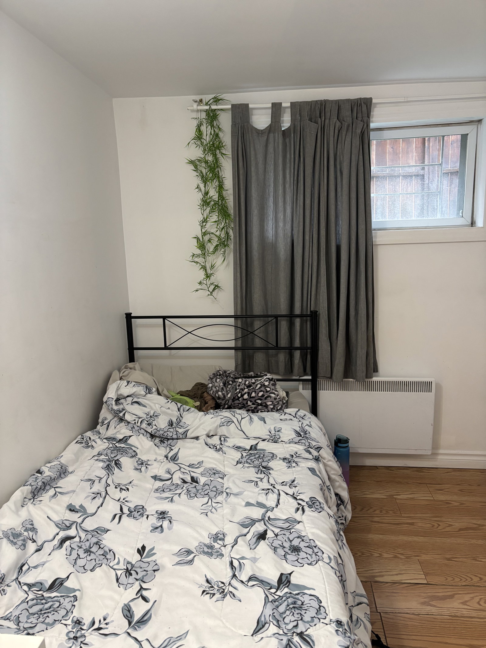 Coliving Montréal 662781